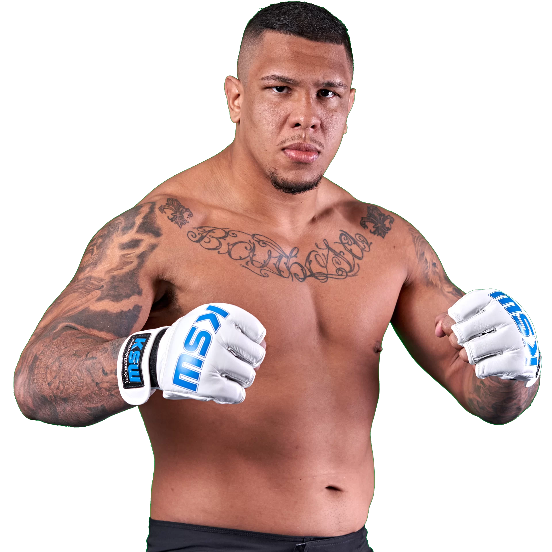 Luis Henrique