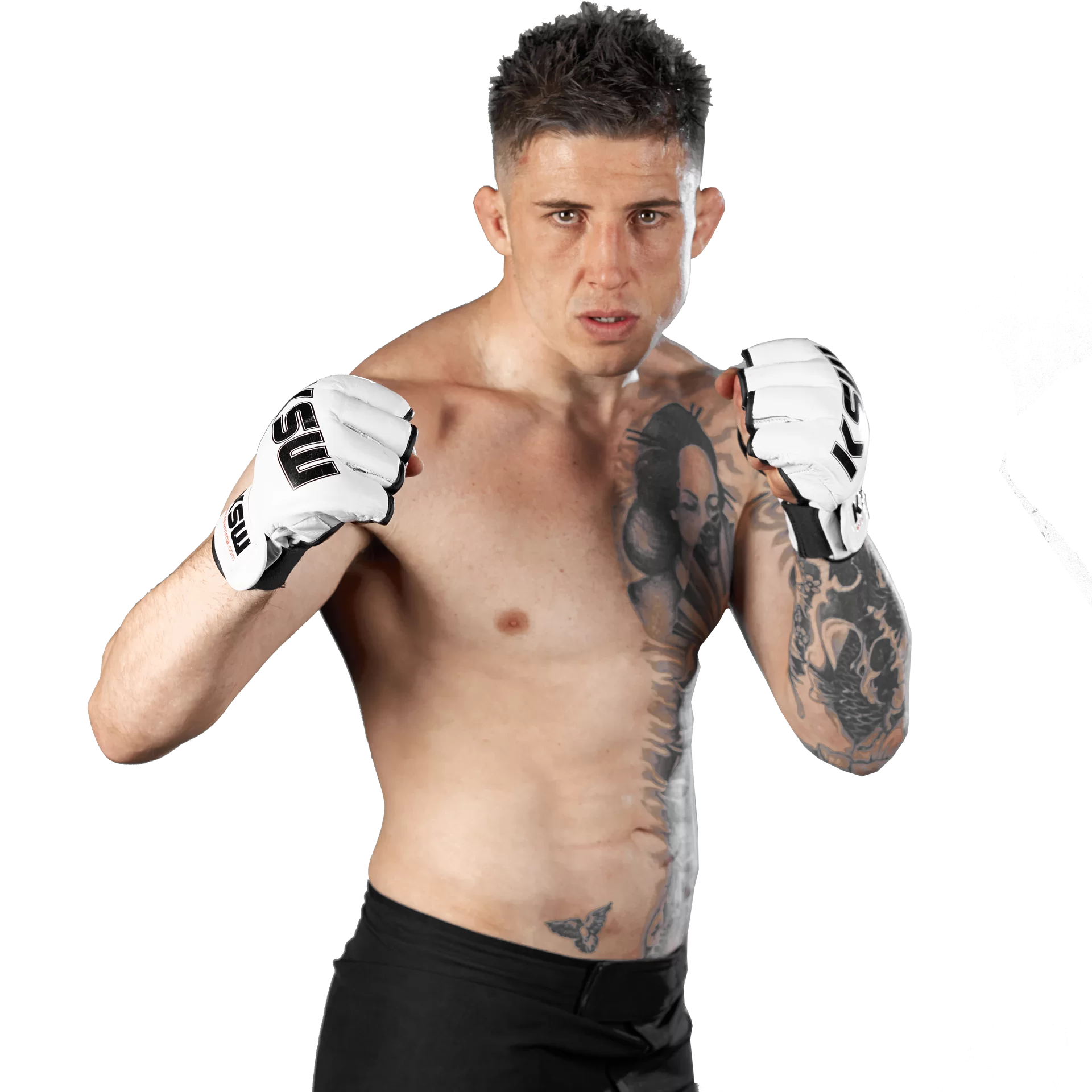 Norman Parke