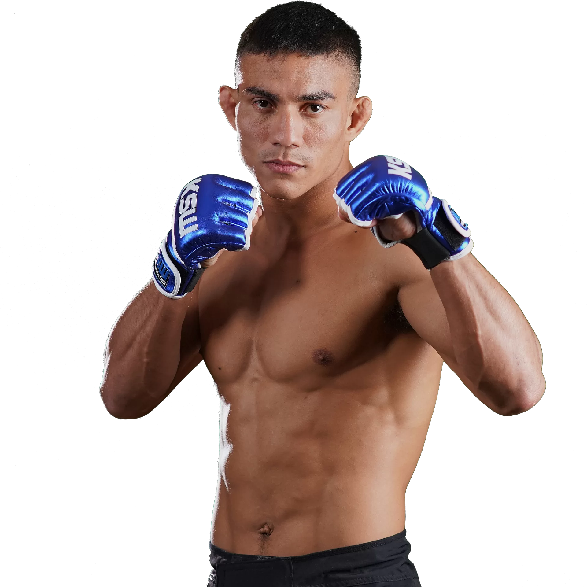 Daniel Torres