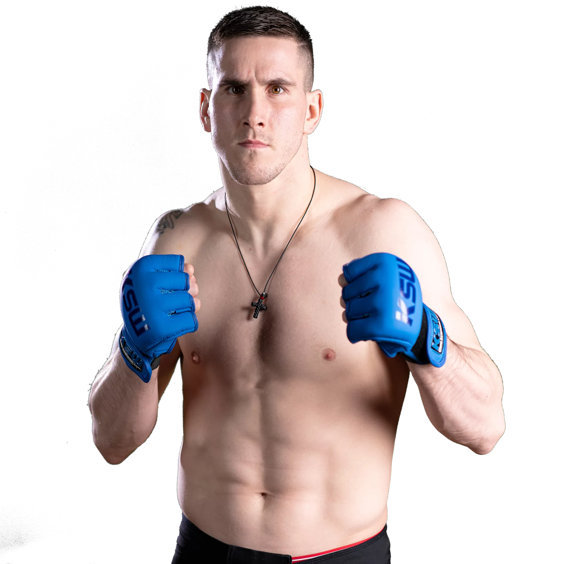 David Hošek