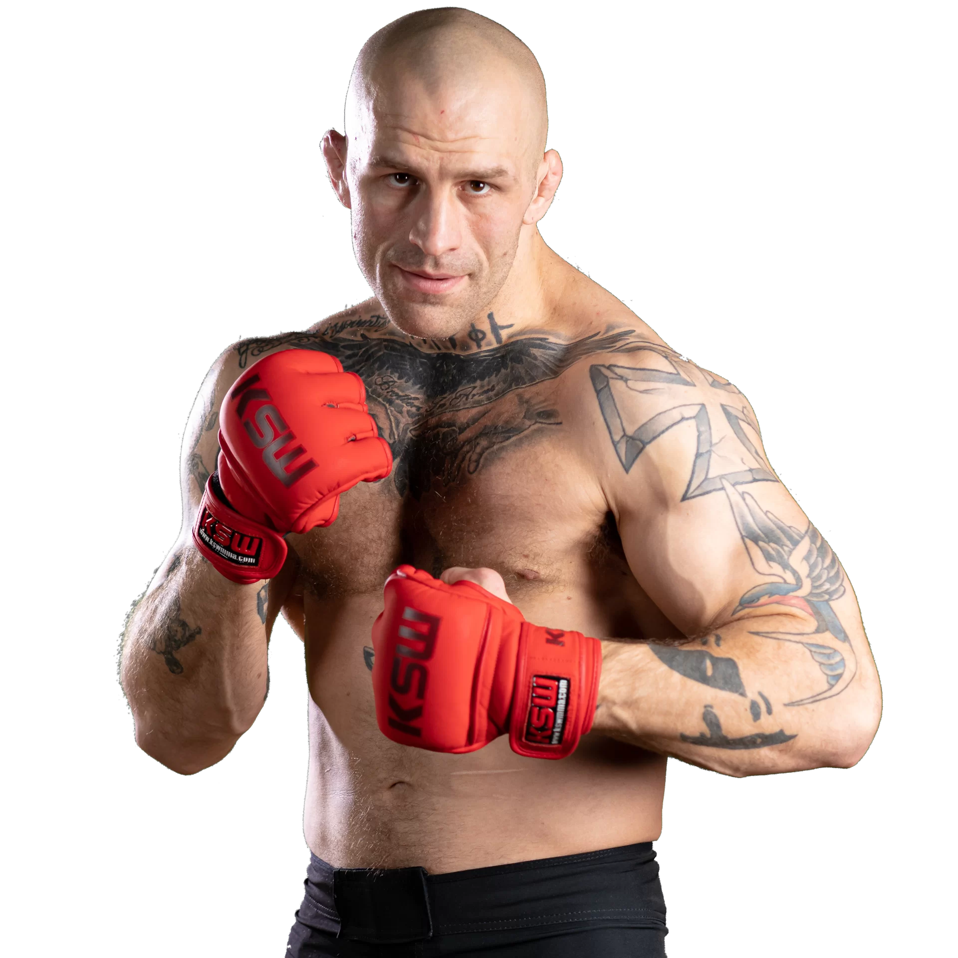 Andreas Gustafsson