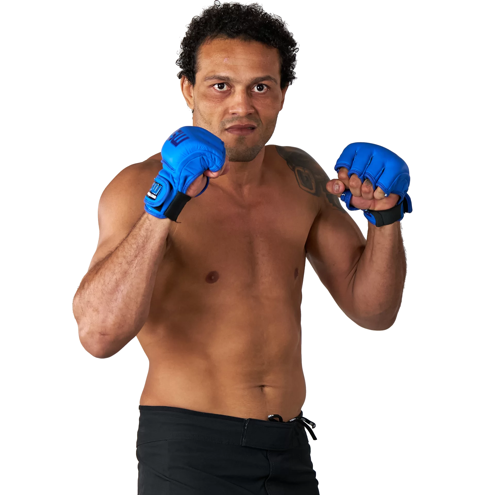 Henrique da Silva