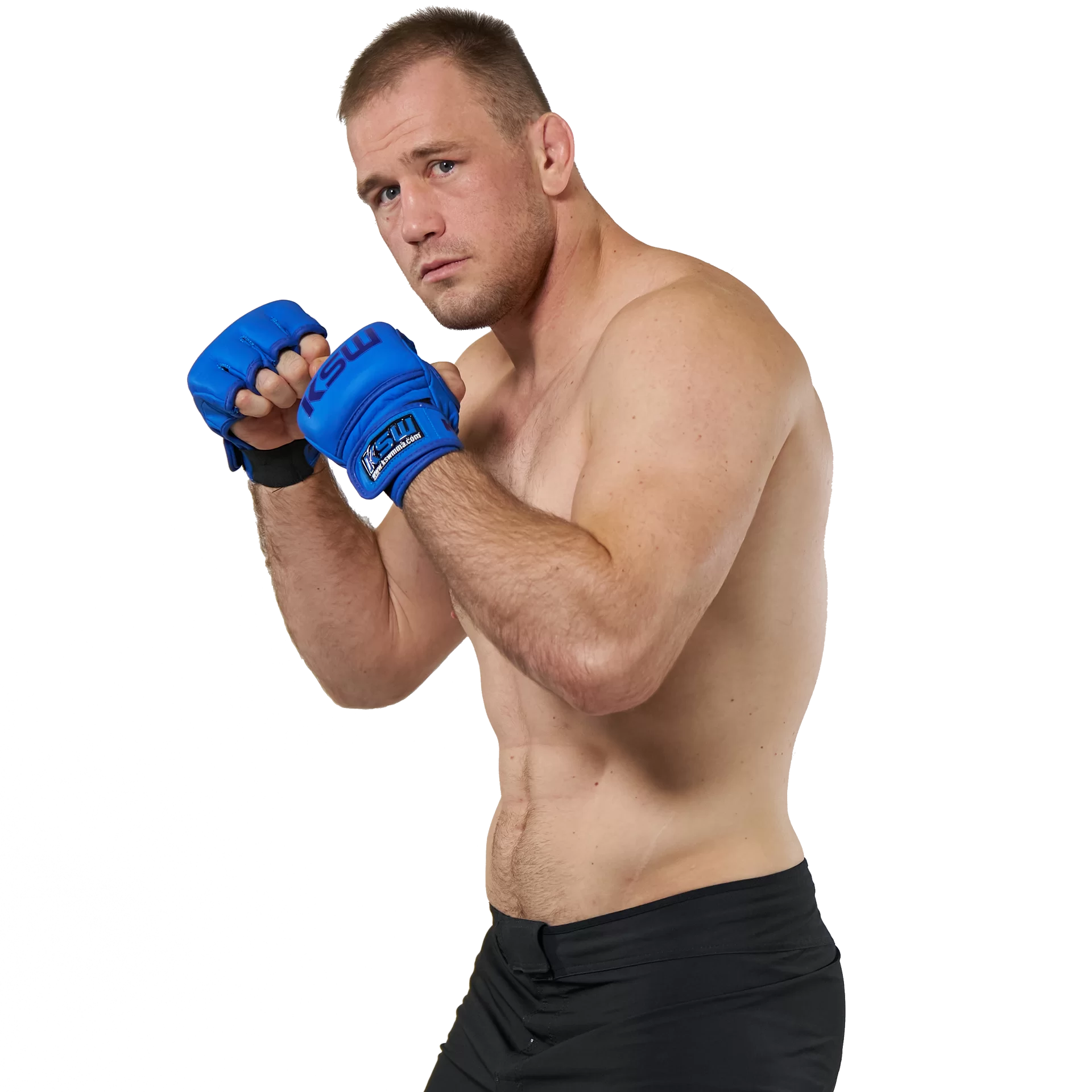 Viktor Pesta