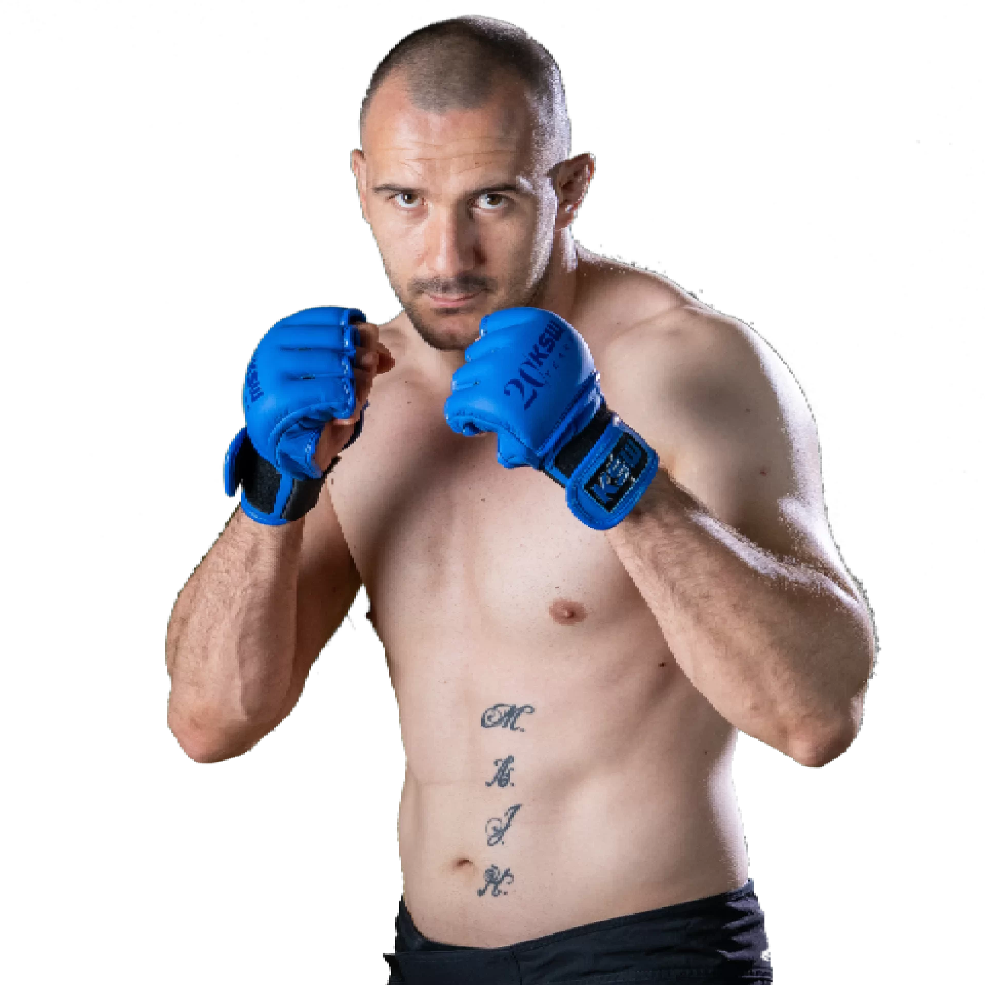 Stevan Jarić